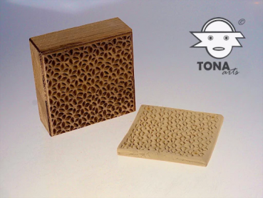 No.SL2 seamless plant cell structure